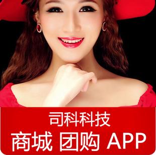团购商城网站开发定制手机app安卓苹果wap开发定制 北京